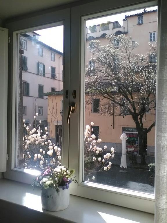 Suite Sofia Lucca Exterior foto